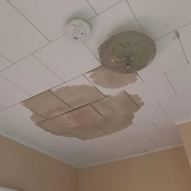Ceiling Water Damage Repair in Clarendon, VT
