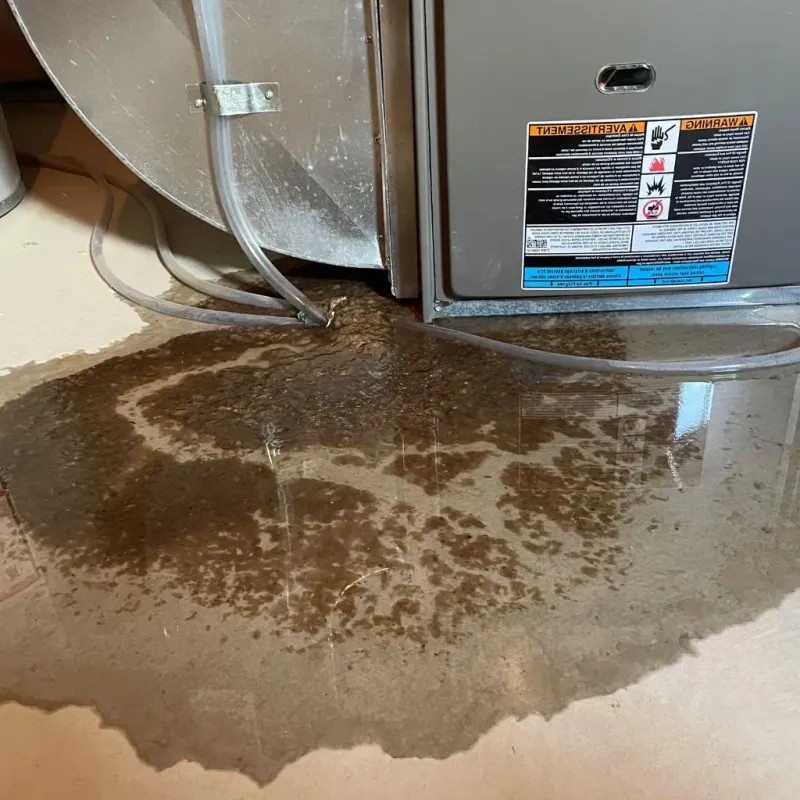 Pipe Burst and Leak Restoration in Clarendon, VT