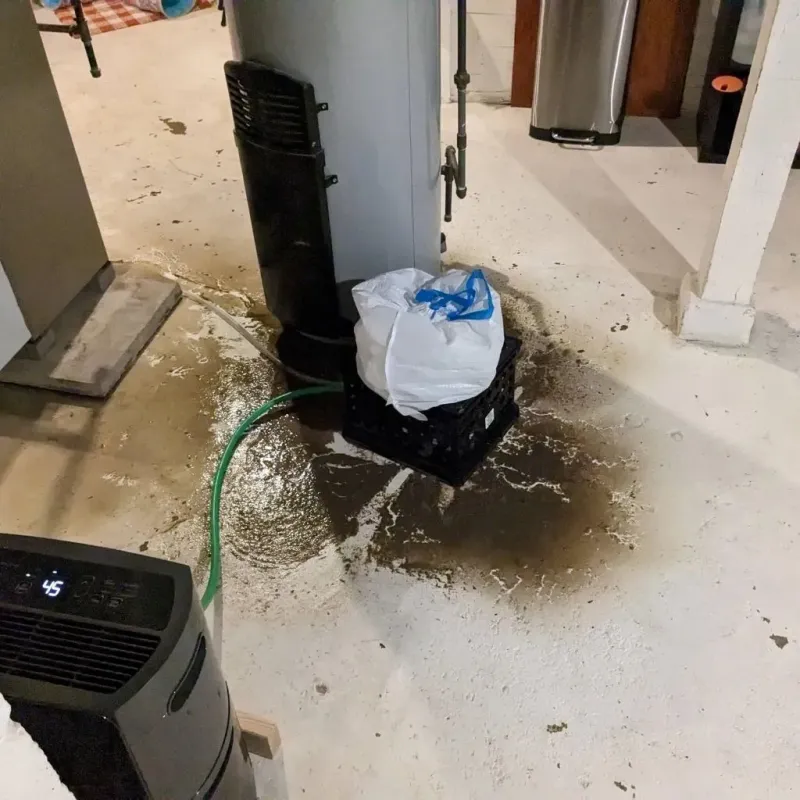 Sewage Backup Cleanup Service in Clarendon, VT